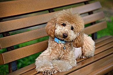 上市半个月仅有1＆4玩家通关《战神：诸神黄昏》